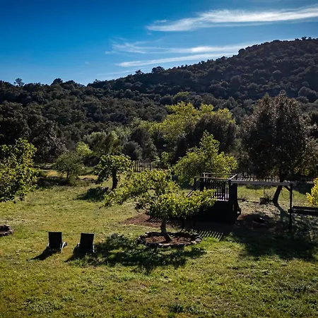 Villa Masia Mimosa Jardin