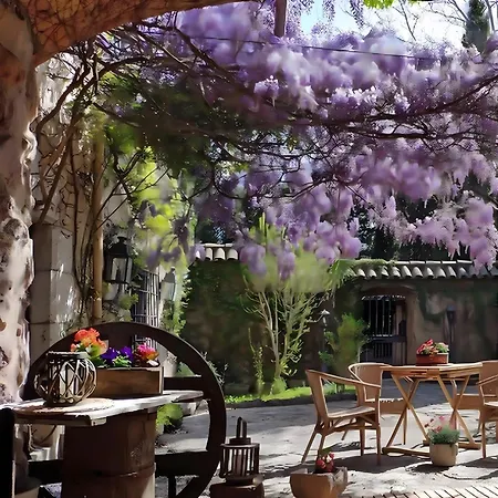 Villa Masia Mimosa Jardin *