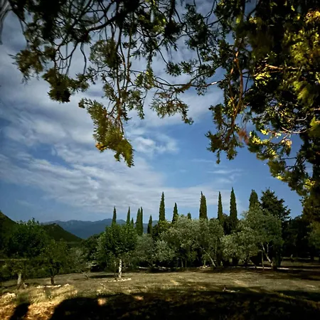Masia Mimosa Jardin