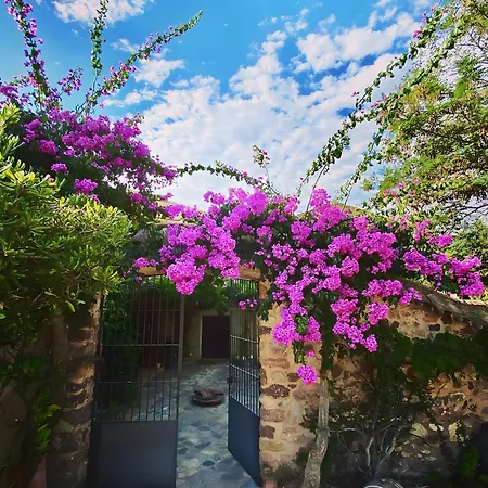Masia Mimosa Jardin * Darnius